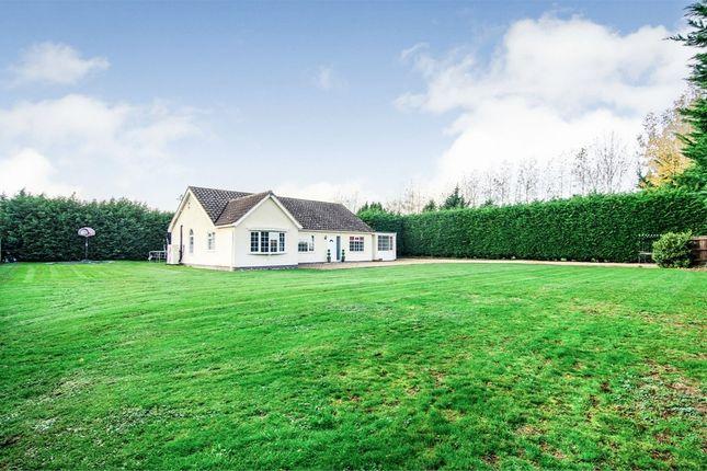 The lawned garden wraps around the property and boasts mature shrub hedges and a paved patio seating area