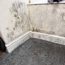 A file picture of a property affected by damp and mould.