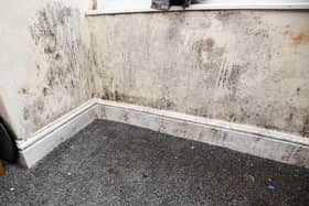 A file picture of a property affected by damp and mould.