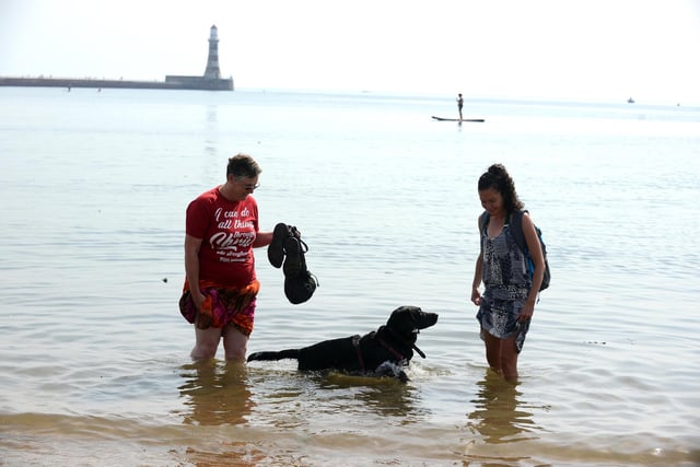 High temperatures at Roker Beach. Fiona Bower and Stella Regger with dog Monty.