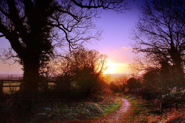 A Winter sunset on a country lane near Penshaw in 2004.