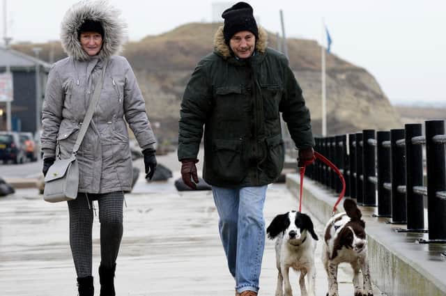 Afternoon dog walkers will have to brave the rain at Roker beach today . Picture by Frank Reid.