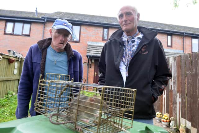 Donnison Gardens residents Paul Reay and Jimmy Smart with a rat they trapped in their street, which has also seen a rise in the pest problem.