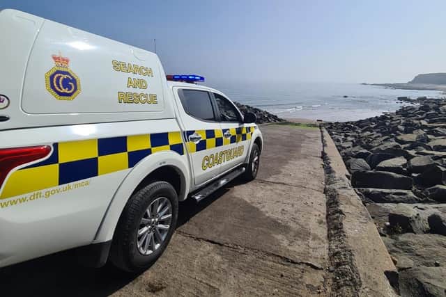 Coastal rescue teams were called out to Hendon after receiving reports of a dog swimming out to sea. Photo: Sunderland Coastguard Rescue Team.