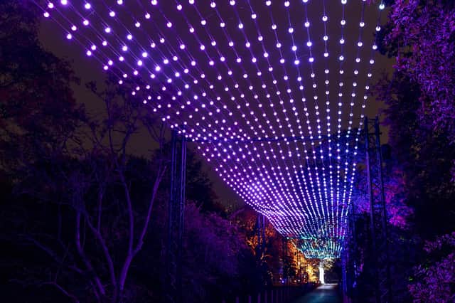 Look up and celebrate the Northern Lights with Aurora by ITHACA coming to Edinburgh's Christmas At The Botanics. Photo Rikard Osterlund/Sony Music