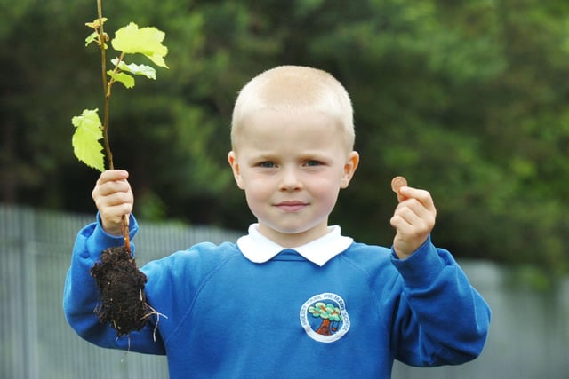 Holley Park Primary School pupils planted a new hedge around the playing field in 2007. But before they did, they honoured the Victorian tradition of putting a new penny in the hole before planting the tree.
Here is Ewan Pinder with his penny and plant.