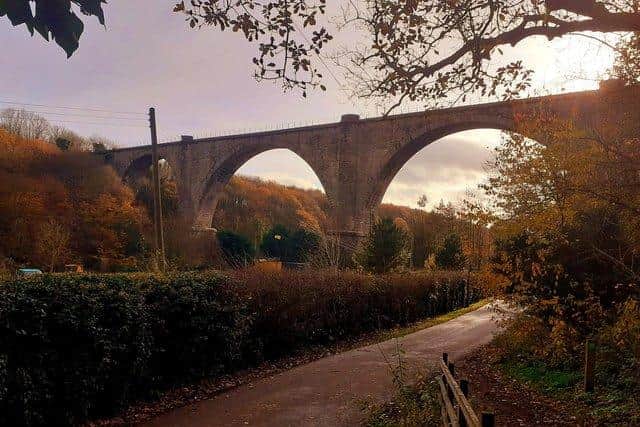The 1838 Victoria Viaduct is a symbol of the campaign to restore the Leamside Line.