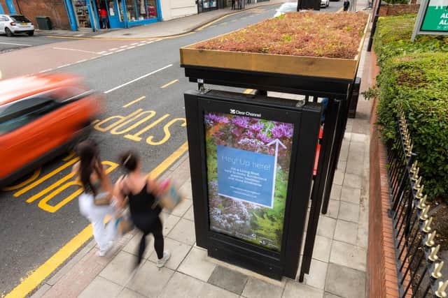One of the new bus shelters on Chester Road with a living roof to help bees and the environment.