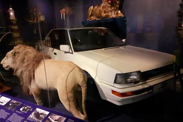 The late Wallace the lion guarding the Nissan Bluebird, the first car to be made in the Sunderland factory.
