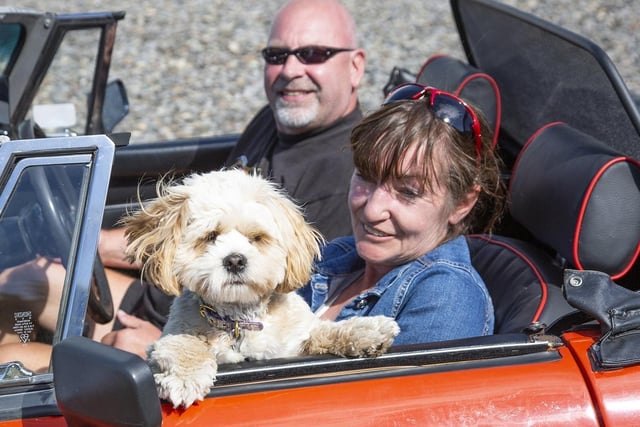 Alan Little, Amanda Farnell, and Daisy the dog in their MGB Roadster.