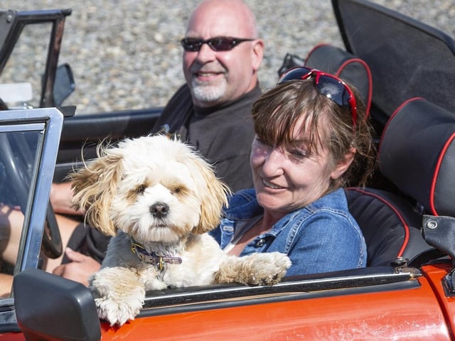 Alan Little, Amanda Farnell, and Daisy the dog in their MGB Roadster.