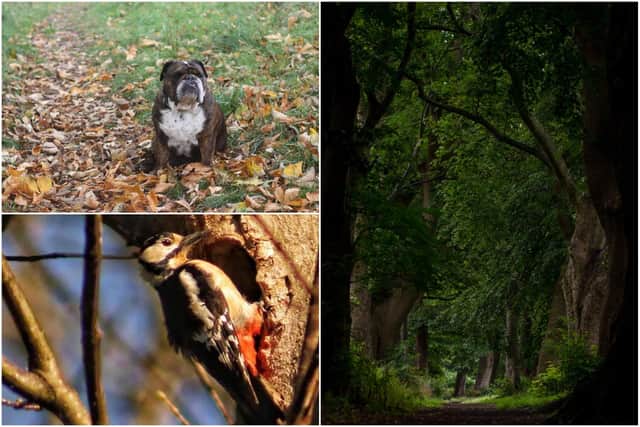 The Backhouse Park photography competition