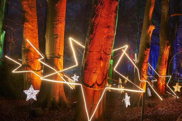 Tree Stars by Culture Creative. Photo by Richard Haughton