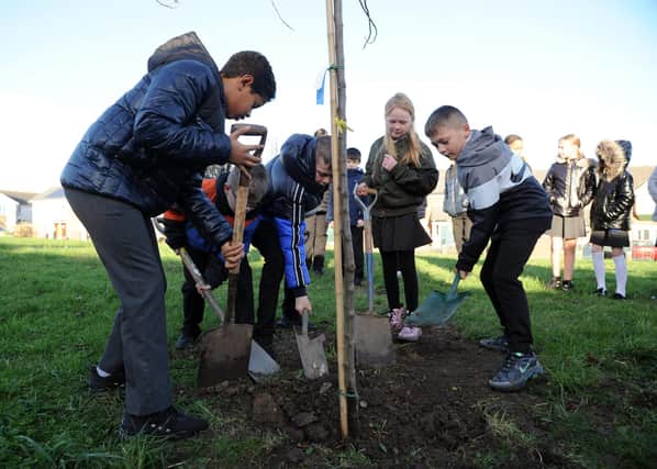 Pupils got involved in helping replant the community orchard.