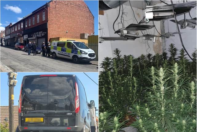 Officers dismantled thirty cannabis plants and seized two vehicles in crackdown on crime in Horden.