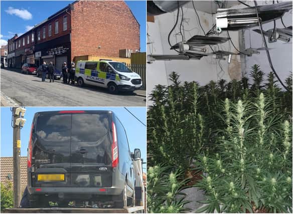 Officers dismantled thirty cannabis plants and seized two vehicles in crackdown on crime in Horden.