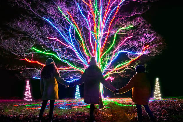 Neon tree by Culture Creative mychristmastrails 2020 photo by Richard Haughton Sony Music