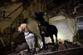 Fire crews used specially trained dogs to ensure that no other casualties were in the building following the blast.