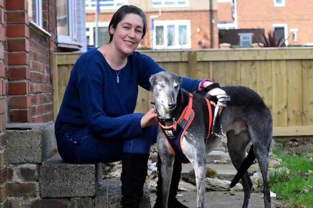 Dian Cullen with her Greyhound Dylan. Picture by FRANK REID