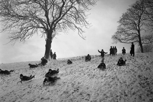 Making the most of the snow in Backhouse Park in 1954.