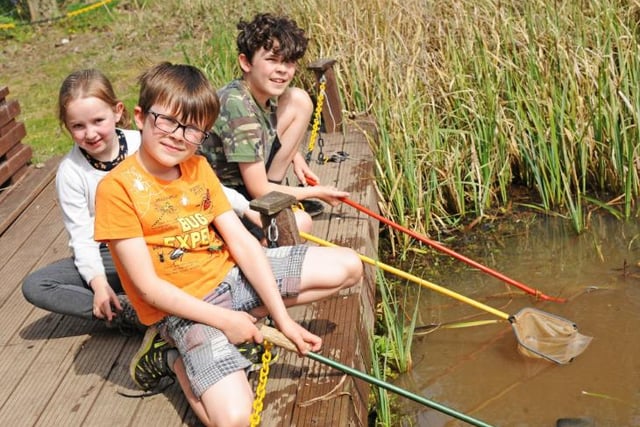 Many a school trip has been taken to Austerfield Study Centre. Do you remember dipping nets into the pond?