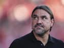 Daniel Farke has won promotion from the Championship twice with Norwich City (Photo by Maja Hitij/Getty Images)