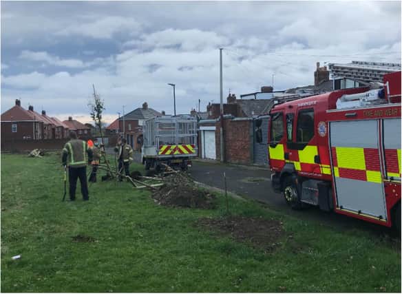 The fire service helped to save as many trees following the Bonfire night attack.