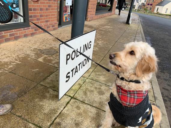 Jasper the dog at Teal Farm polling station, Washington, General Election, December 12, 2019
