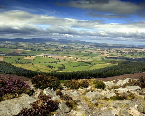 Cheviot view from Simonside
