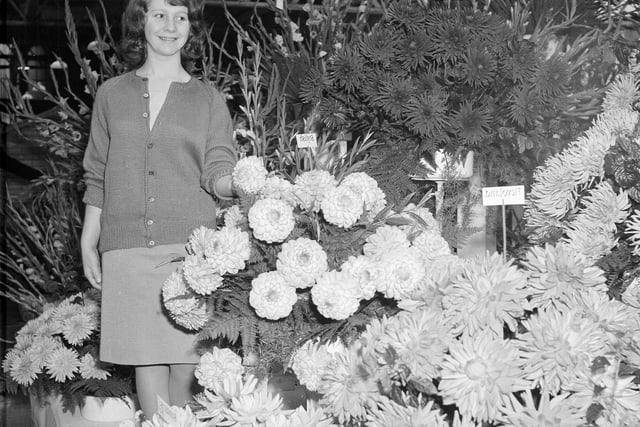 Helen Turner admires some of the exhibits at the Royal Caledonian Horticultural Society's Scottish Flower Show at Waverley Market in September 1963.