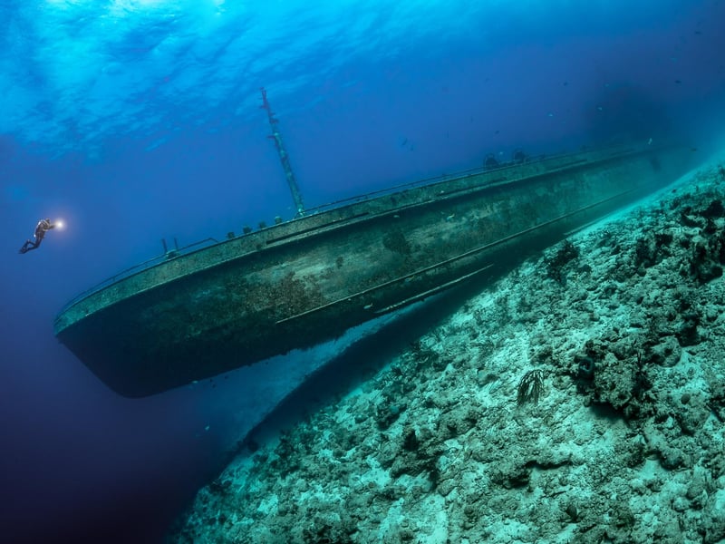 Underwater Photographer of the Year 2021
WINNER Category 3. Wrecks
Country taken: Bahamas
Location: near Nassau