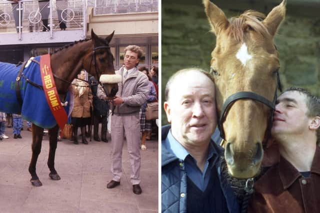 Red Rum and Red Marauder, both famous winners of the Grand National.