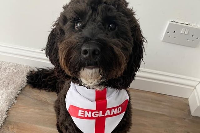 Wilfie looks every part the England mascot in his red and white bandana.