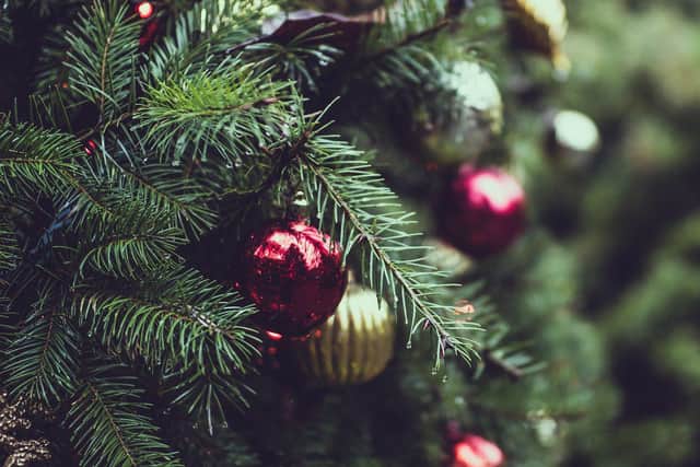 How to recycle your Christmas tree and where to take it in Sunderland