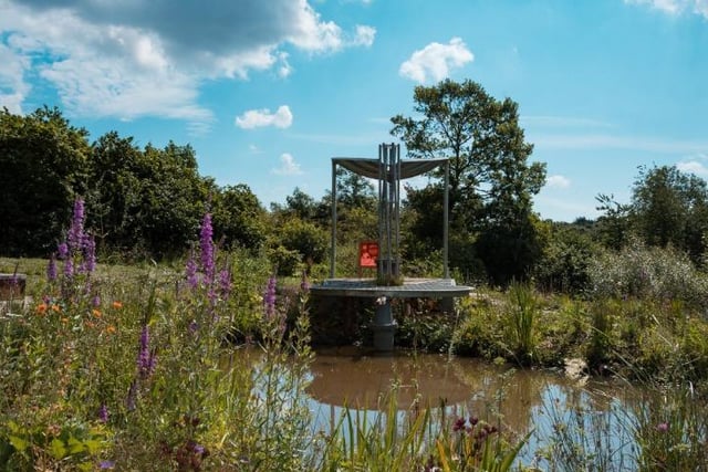 Explore and meet 16 giant colourful Lego brick animals, which form a fun and interactive trail around the Washington Wetland Centre. Find out more here:
https://www.mysunderland.co.uk/article/22274/The-UK-s-only-LEGO-Brick-Wetland-Safari-at-
Washington-Wetland-Centre