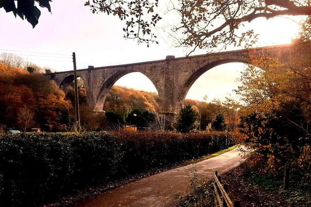 The Victoria Viaduct should be a great emblem of County Durham.