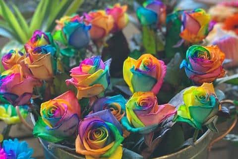 Rainbow roses by Lily Bows