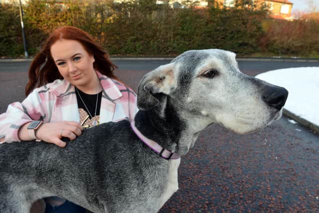 Jess McCann with Great Dane Millie who is more than 13 years old