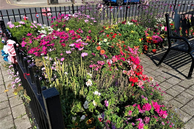 The plants were funded by a community chest which was sponsored by Southwick Councillors.