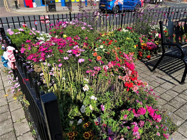 The plants were funded by a community chest which was sponsored by Southwick Councillors.