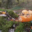 The Woodland Trust has issued an urgent plea for families not to endanger wildlife by dumping pumpkins in woodland.