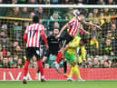 Danny Batth playing for Sunderland at Norwich.