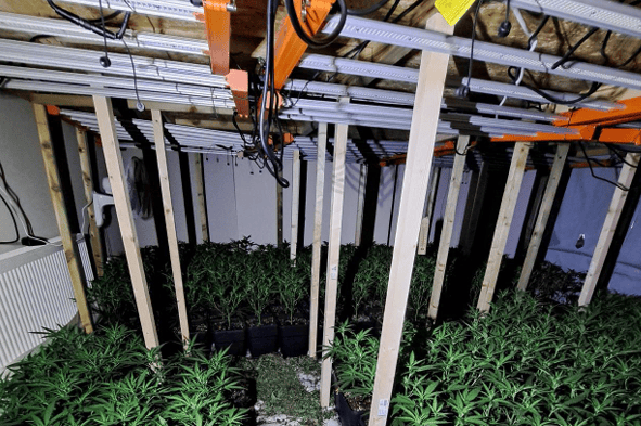 Investigations into the cannabis farm in Nora Street, Sunderland, are continuing.