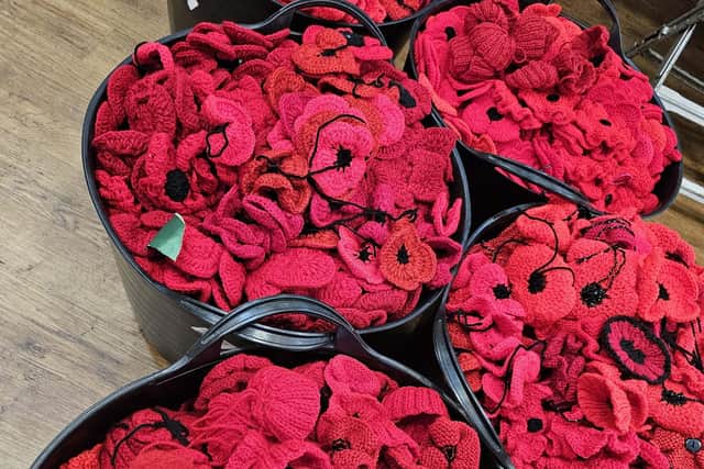More than 23,000 poppies have been crafted as part of a large Remembrance Day display in Durham city centre.