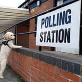 Embarrassingly, this lad is showing more interest in local democracy than the majority of humans. Picture by Stu Norton.