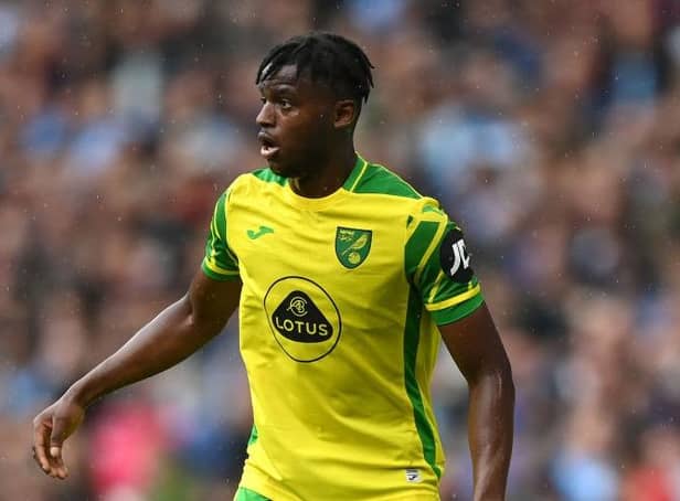 Bali Mumba is on loan at Plymouth Argyle from Norwich City.