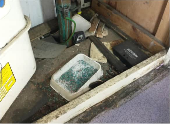 A tray of bait was found inside the takeaway shop in Sunderland.