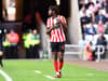 How Sunderland's new signings from West Ham, Manchester United, Arsenal & Everton have fared - photo gallery