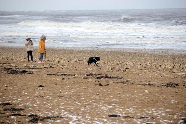Sunderland dog control beach walking consultation.