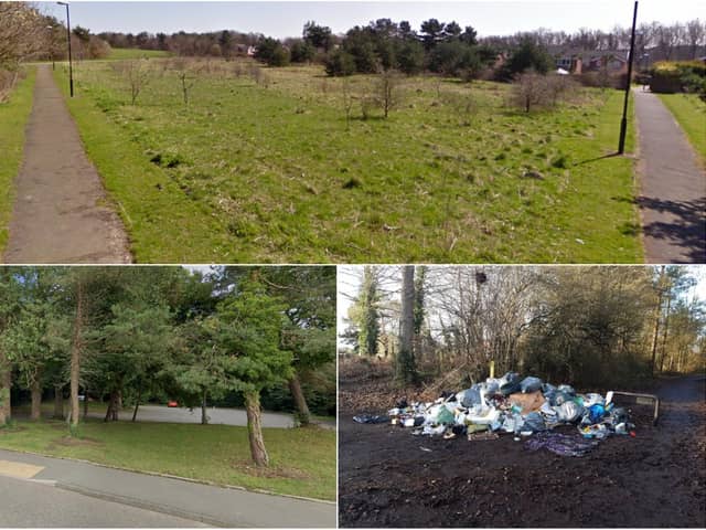 Top: Rickleton Park, bottom left Car Park off Shepherd Way and bottom right, rubbish dumped near James Steel Park in Washington.